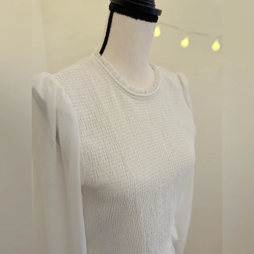 🌾 Aritzia Sheer‎ Puff Long-sleeved Wilfred Tempest Blouse